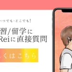 ビデオチャットにて英語学習/留学相談サービスを始めました!